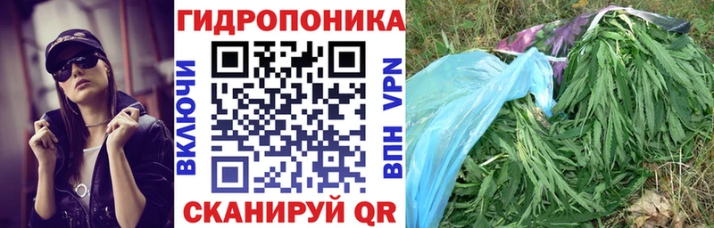 мориарти формула  Вятские Поляны  Бошки марихуана гибрид  ссылка на мегу зеркало 